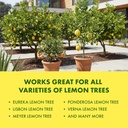 lemon-tree-fertilizer-complete-lemon-tre-6.jpg