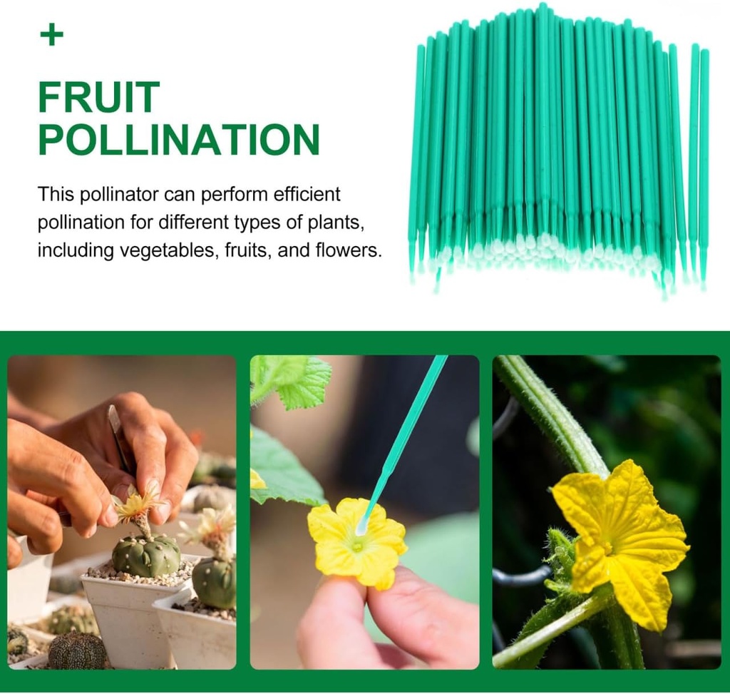 vegetable-pollinator-tool-hand-pollinati-3.jpg