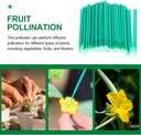 vegetable-pollinator-tool-hand-pollinati-3.jpg