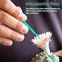 vegetable-pollinator-tool-hand-pollinati-4.jpg
