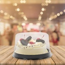 10pcs-cake-box-clear-container-round-cak-4.jpg