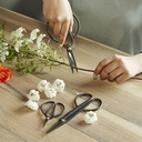 scissor-set-for-garden-5.jpg