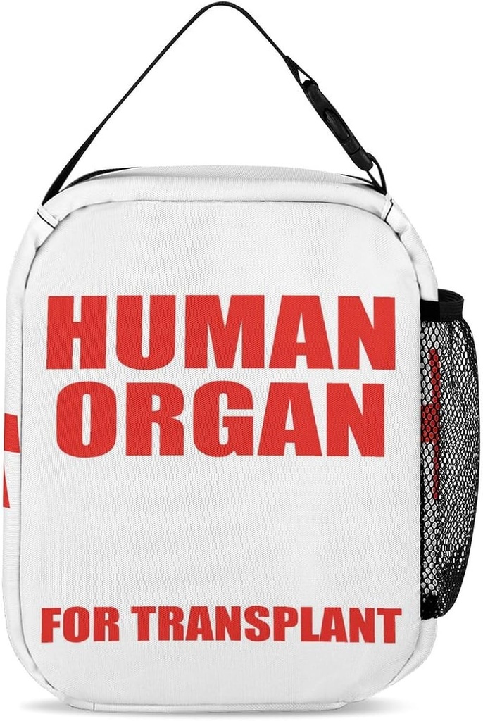 human-organ-lunch-box-for-kids-human-org-3.jpg