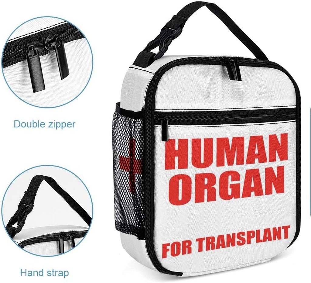 human-organ-lunch-box-for-kids-human-org-4.jpg