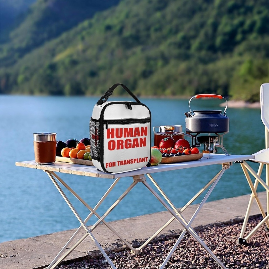 human-organ-lunch-box-for-kids-human-org-5.jpg
