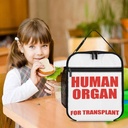 human-organ-lunch-box-for-kids-human-org-6.jpg