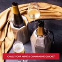 vacu-vin-champagne-wine-cooler-set---fle-2.jpg