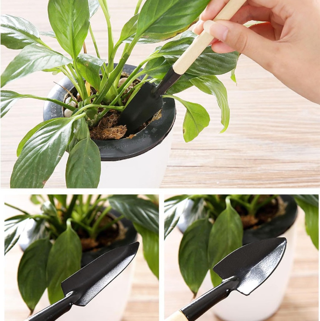 6-pcs-mini-garden-tools-small-garden-rak-5.jpg