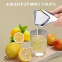 lemon-squeezer-stainless-steel-heavy---d-6.jpg