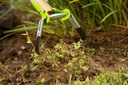 ames-3-pc-weeding-kit-with-action-hoe-2--4.jpg