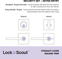 lock-scout-straight-lever-with-square-tr-2.jpg