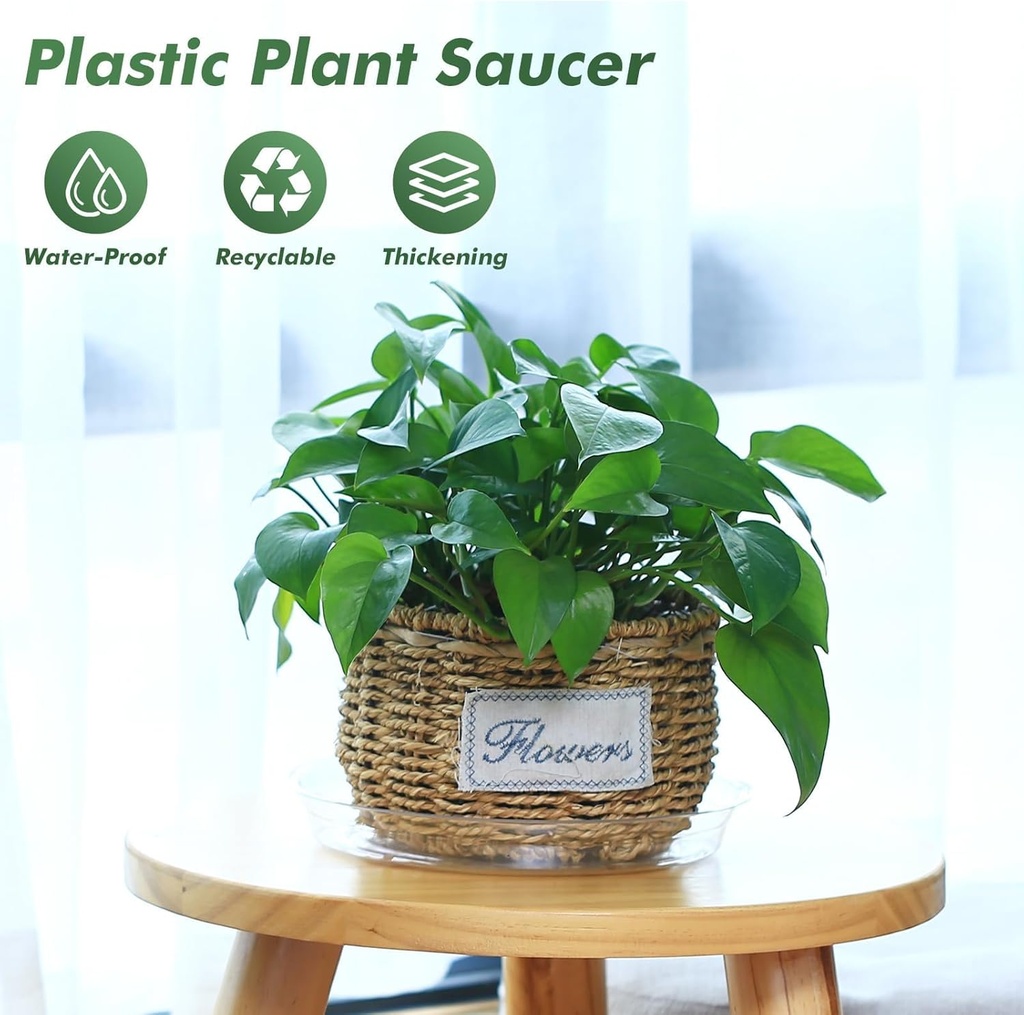 20-pack-6-inch-plant-saucers-clear-plast-4.jpg