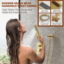 gold-shower-system-10-square-rainfall-sh-4.jpg