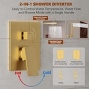 gold-shower-system-10-square-rainfall-sh-5.jpg