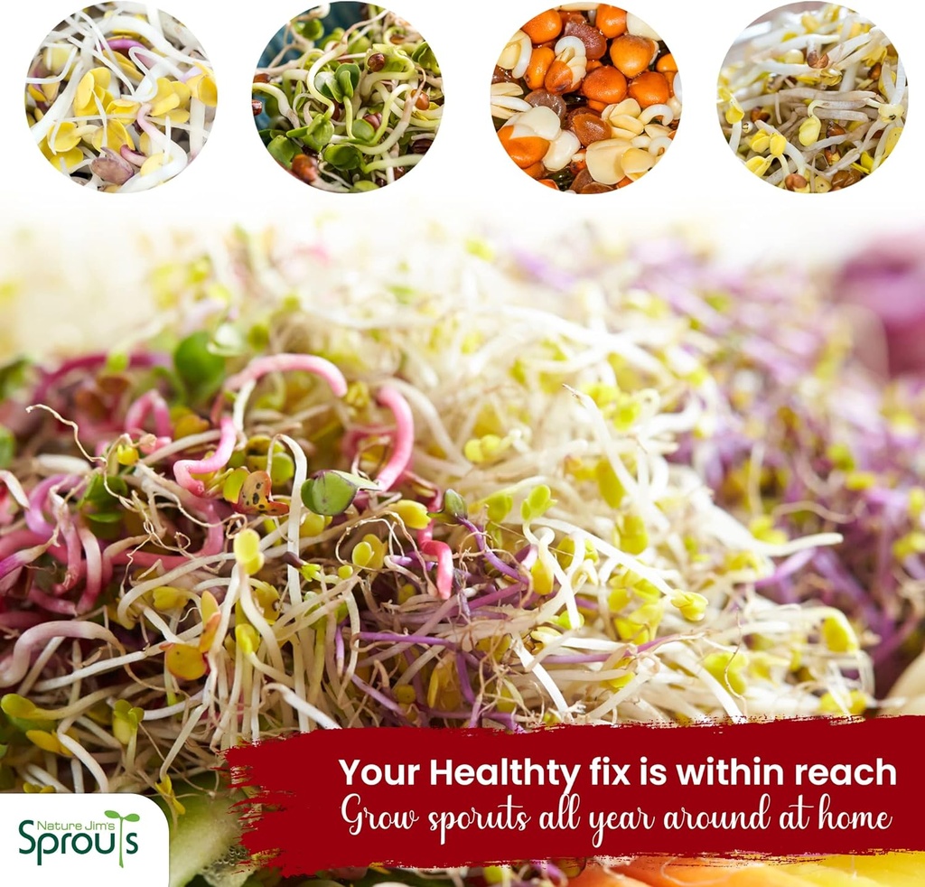 nature-jims-radish-sprout-seeds-16-ounce-4.jpg