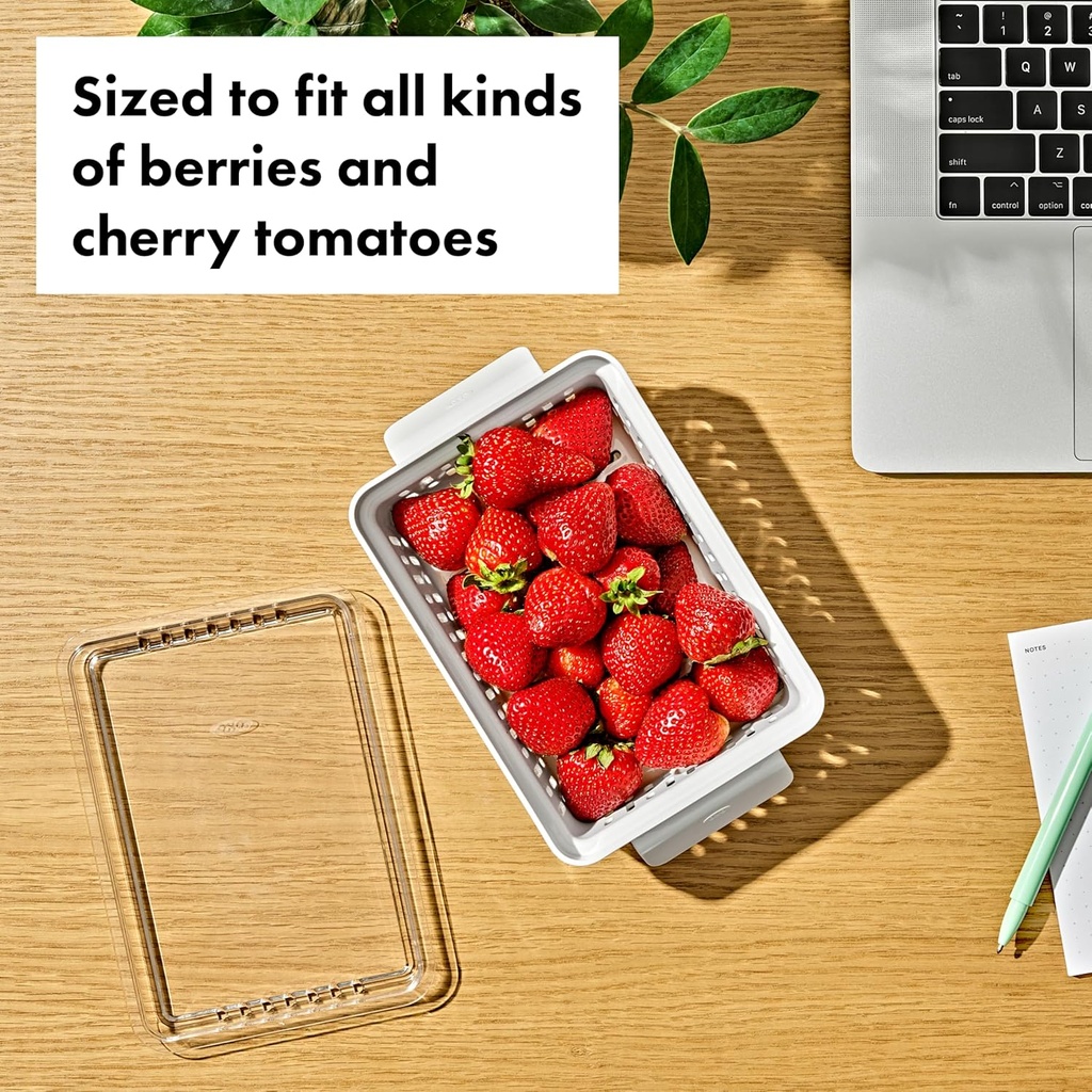 oxo-good-grips-produce-saver---berry-kee-4.jpg