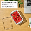 oxo-good-grips-produce-saver---berry-kee-4.jpg