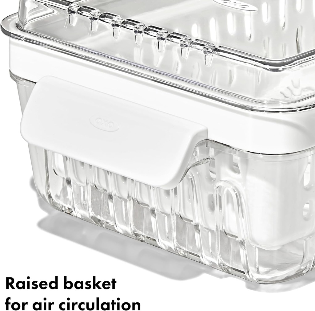 oxo-good-grips-produce-saver---berry-kee-5.jpg