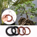 bonsai-training-wire-kit-for-bonzai-tree-4.jpg
