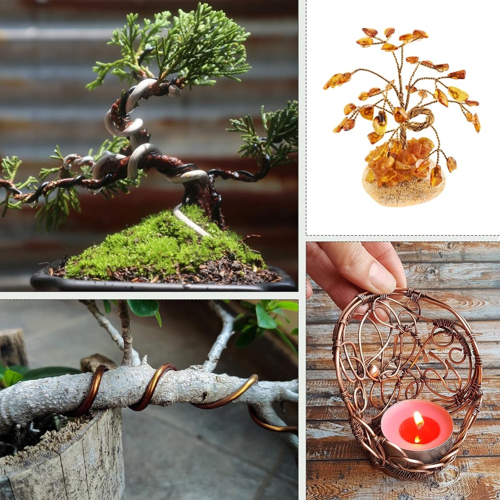 bonsai-training-wire-kit-for-bonzai-tree-6.jpg