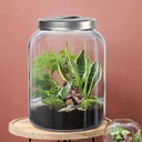 large-glass-jars-with-lids-55-gallon-210-5.jpg