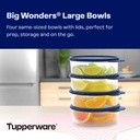 tupperware-big-wonders-2-cup-food-storag-2.jpg