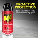 raid-ant-roach-killer-26-fragrance-free--4.jpg