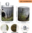 cute-panda-2pc-airtight-transparent-plas-3.jpg