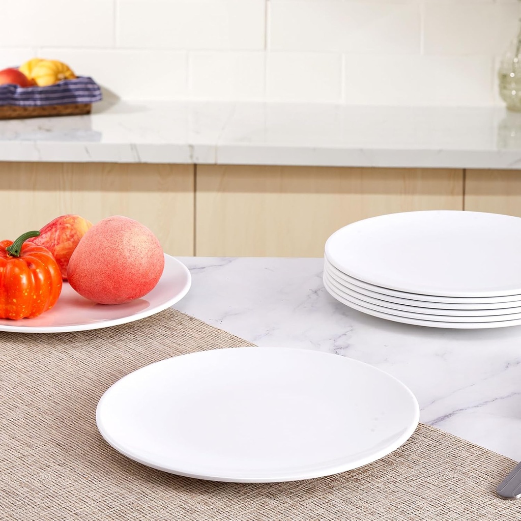 plates-9inch-melamine-dinner-plates-roun-6.jpg