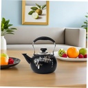 stainless-steel-tea-kettle-with-removabl-5.jpg