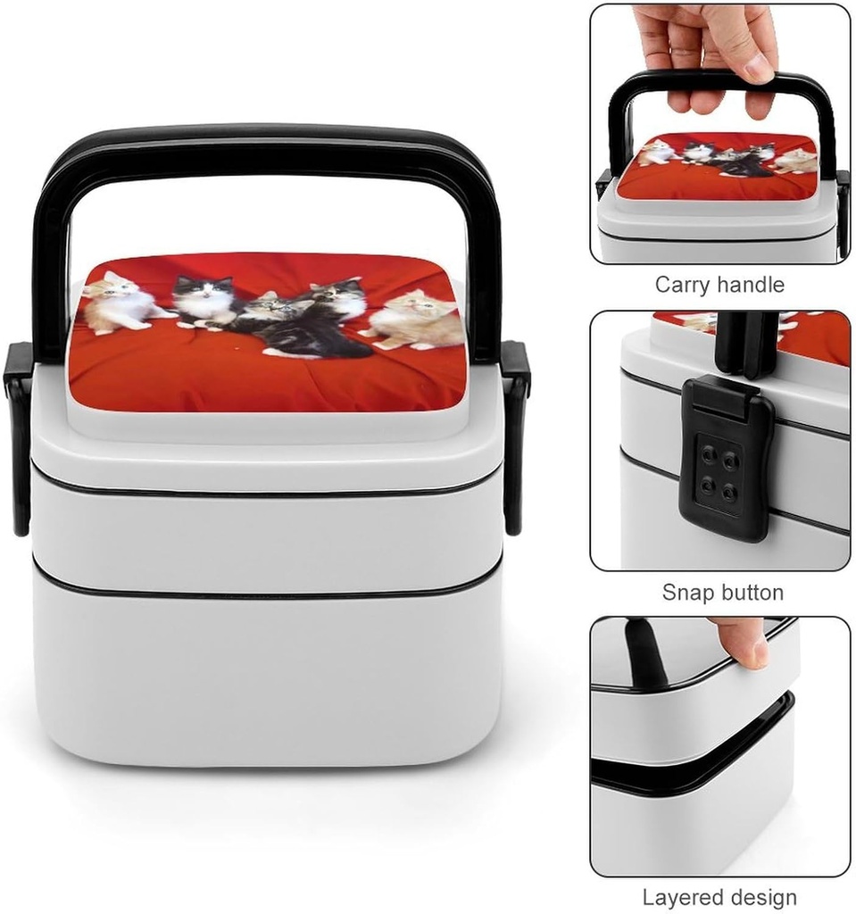 cat-bento-box-adult-lunch-box-all-in-one-5.jpg