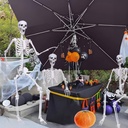 59ft-halloween-skeleton-posable-skeleton-2.jpg