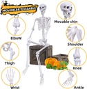 59ft-halloween-skeleton-posable-skeleton-4.jpg