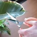 bubblegum-stuff-houseplant-scissors---tr-2.jpg