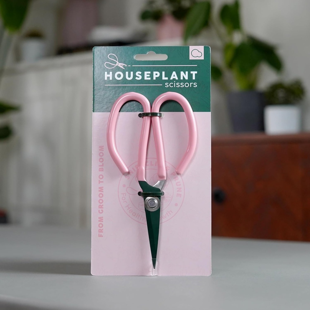 bubblegum-stuff-houseplant-scissors---tr-4.jpg