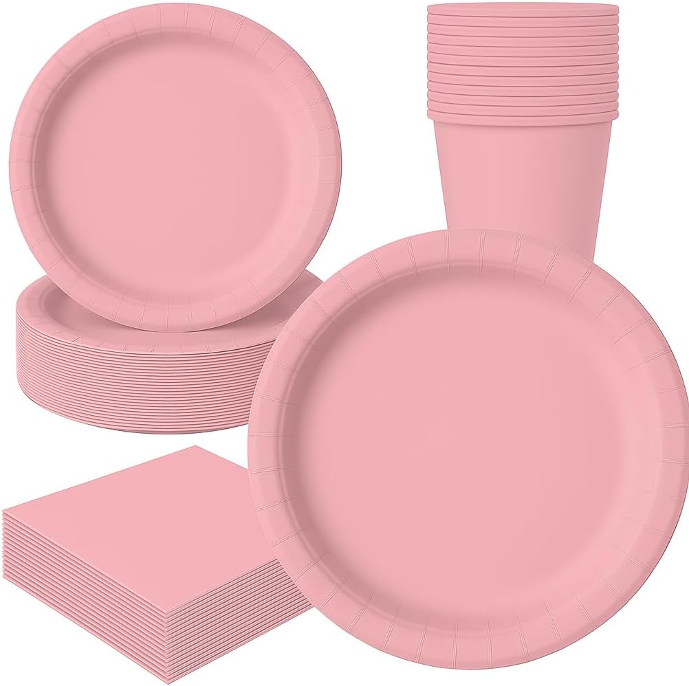 light-pink-disposable-dinnerware-set-200-2.jpg