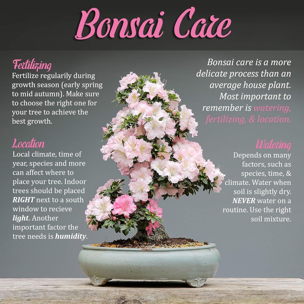 bamboomn-bonsai-tool-kit---includes-prun-2.jpg