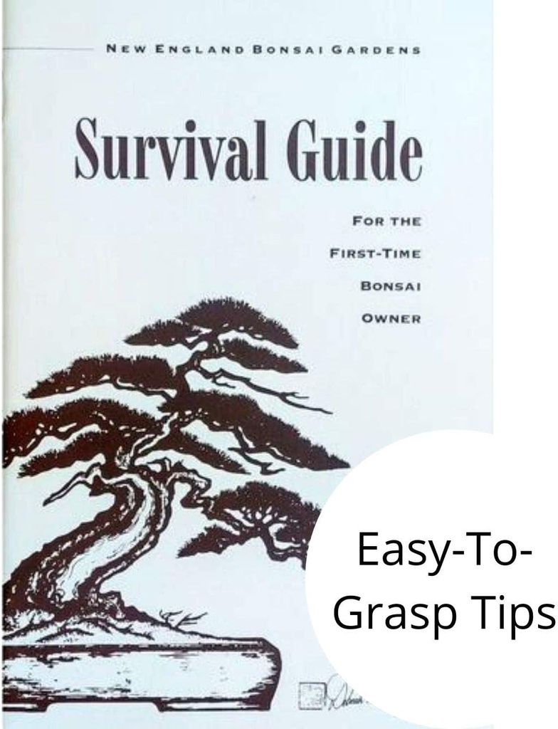 starter-bonsai-tool-kit---survival-guide-4.jpg