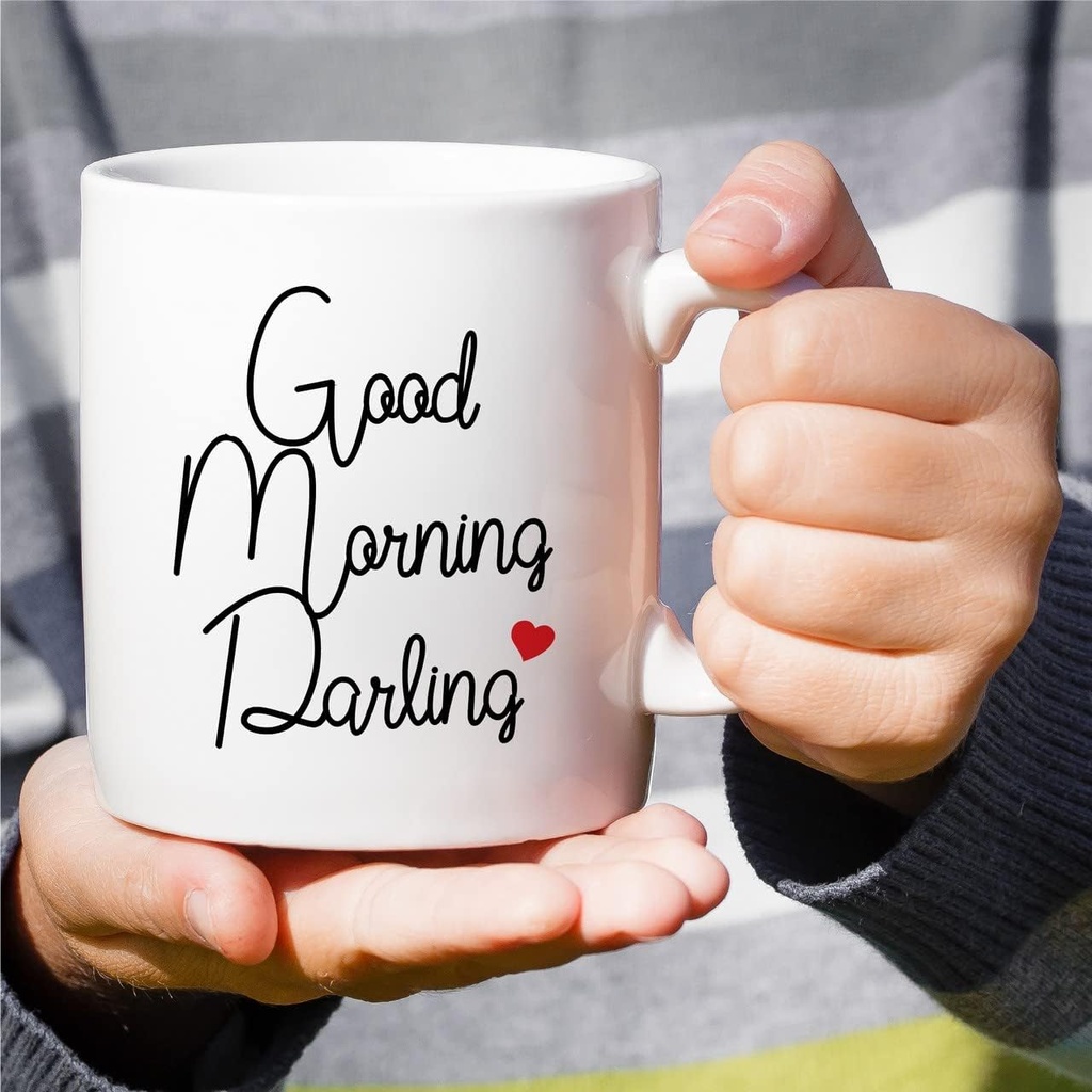 retreez-funny-mug---good-morning-darling-4.jpg