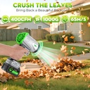 leaf-blower-cordless-with-battery-and-ch-2.jpg