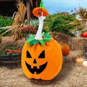 pullcrease-halloween-pumpkin-goose-outfi-6.jpg