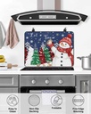 snowman-countertop-burners-protection-ma-5.jpg