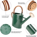 megawodar-1-gallon-metal-watering-can-wi-2.jpg