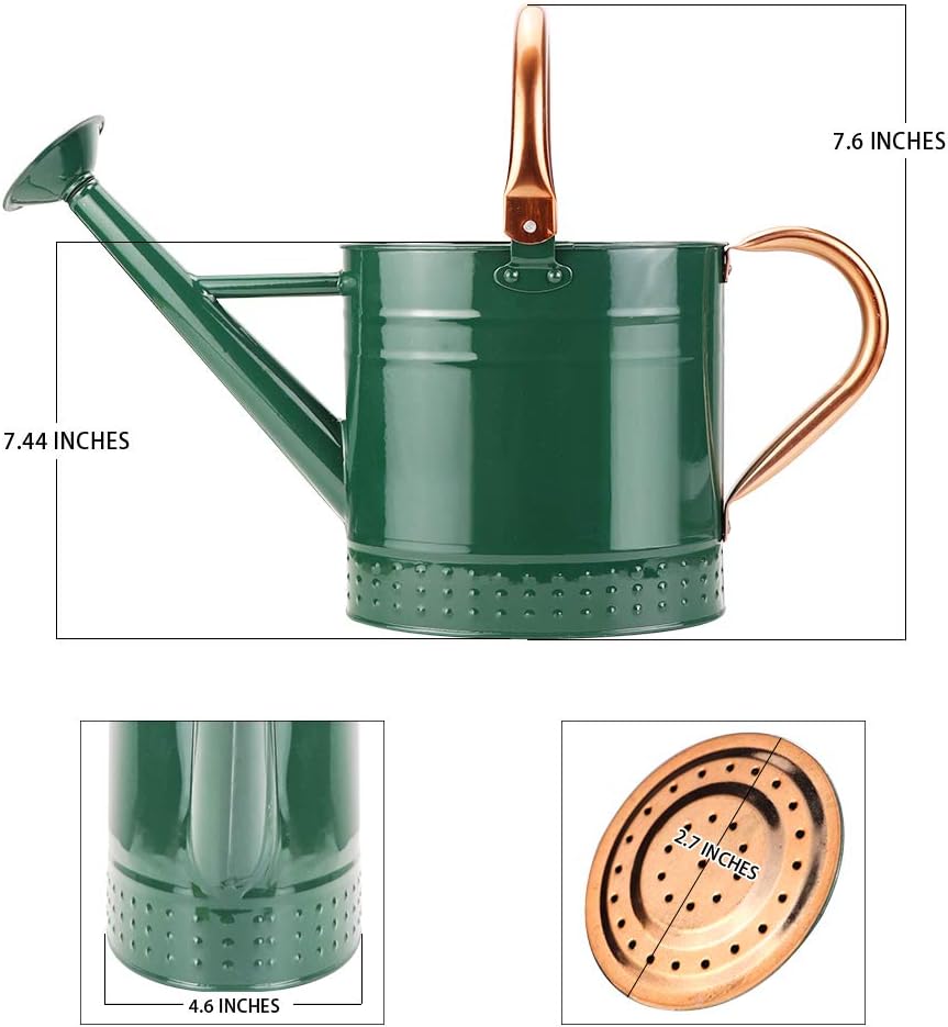 megawodar-1-gallon-metal-watering-can-wi-6.jpg