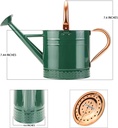 megawodar-1-gallon-metal-watering-can-wi-6.jpg