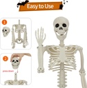 5-pack-halloween-skeleton-decorations-2--5.jpg