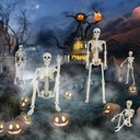 5-pack-halloween-skeleton-decorations-2--6.jpg
