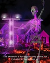 12-ft-skeleton-lighting-kit-not-include--5.jpg