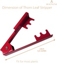 beadnova-rose-thorn-stripping-tool-strip-2.jpg