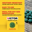 victor-rat-poisoning-for-inside-outside--3.jpg
